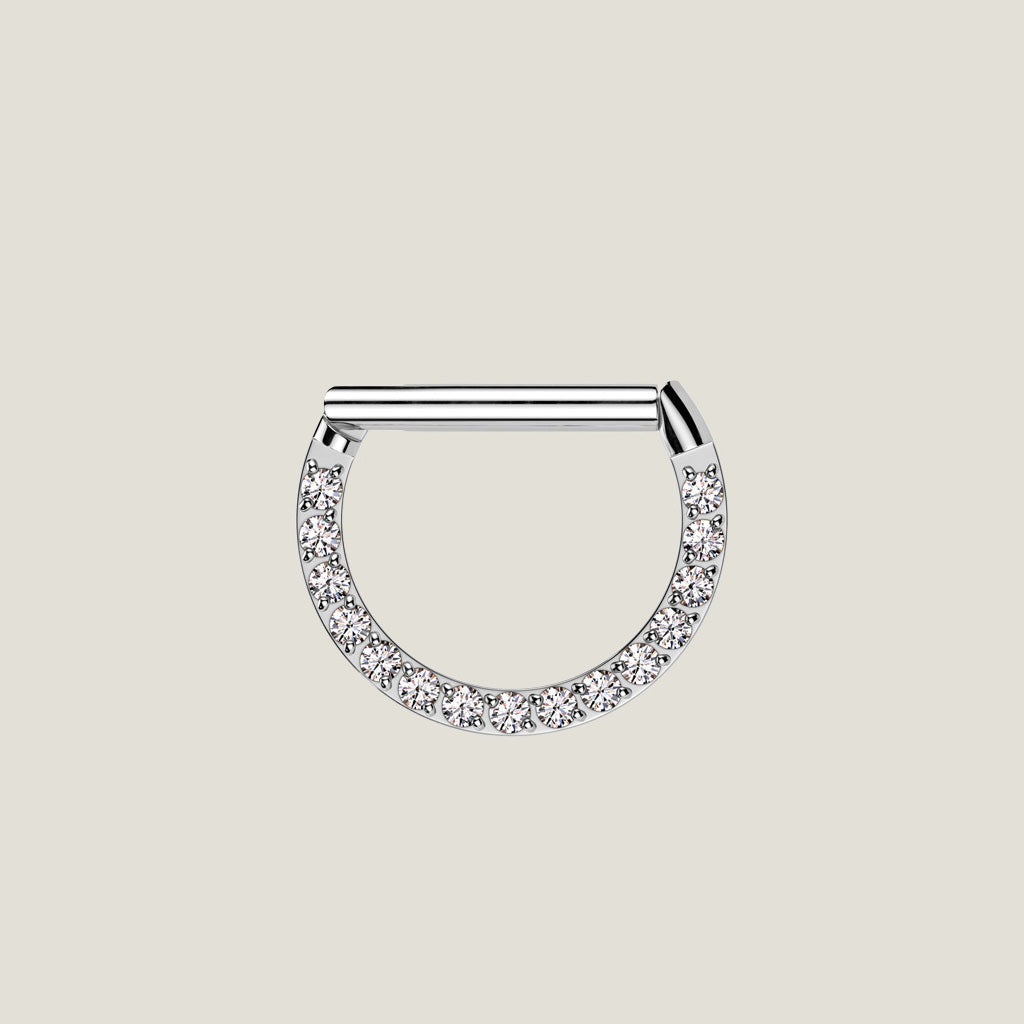 D Ring Quality Precision All 316L Surgical Steel Hinged Segment Ring With Forward Facing CNC Set CZ 10MM